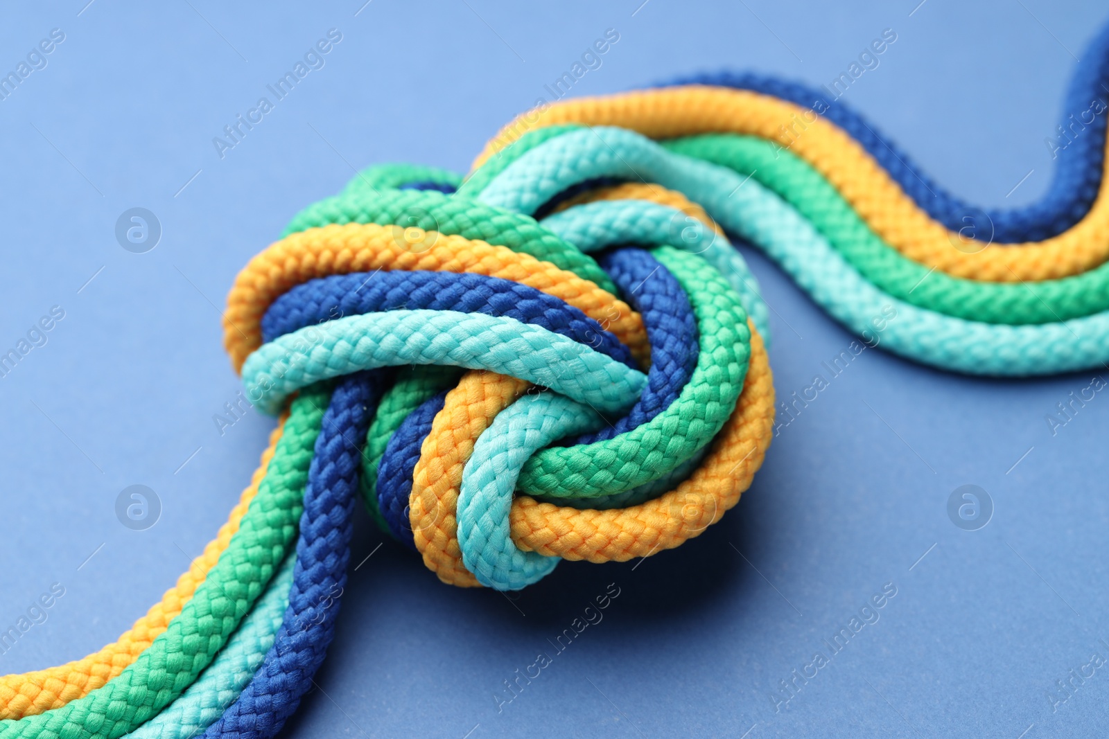 Photo of Colorful ropes tied in knot on blue background, closeup. Unity concept