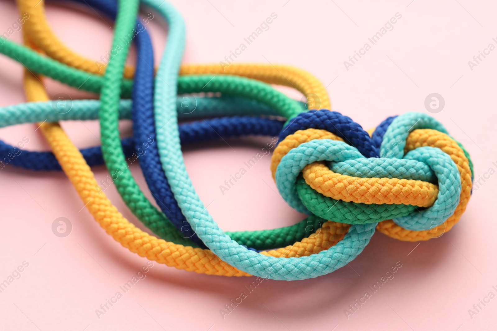 Photo of Colorful ropes tied in knot on light pink background, closeup. Unity concept