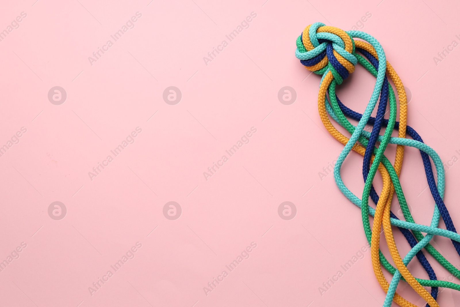 Photo of Colorful ropes tied in knot on light pink background, top view with space for text. Unity concept