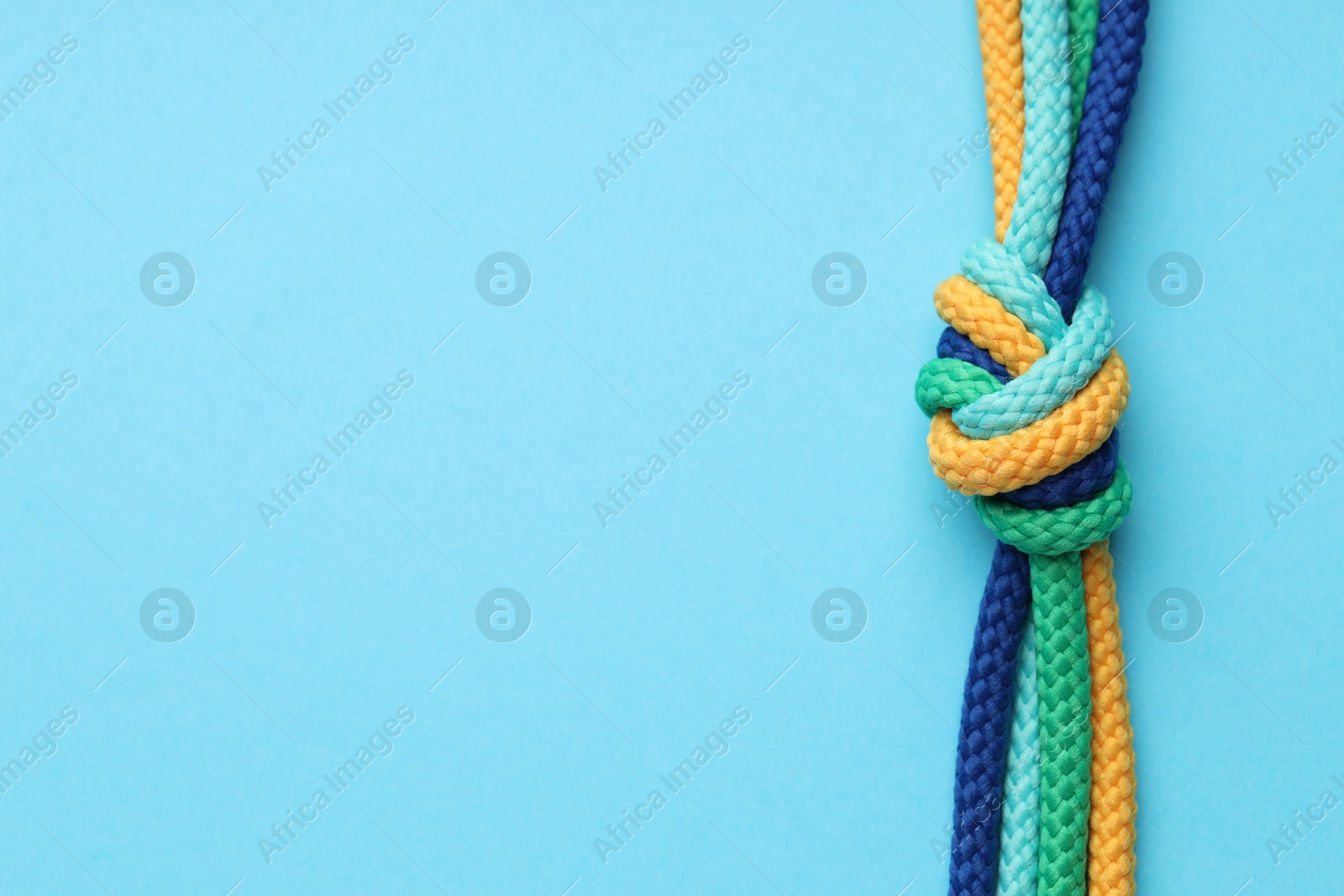 Photo of Colorful ropes tied in knot on light blue background, top view with space for text. Unity concept