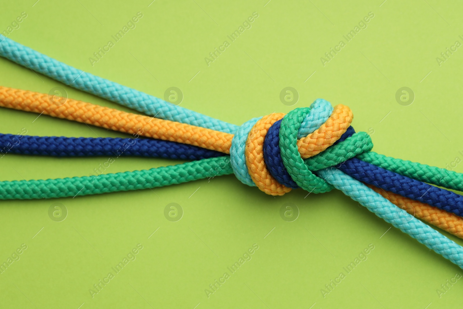 Photo of Colorful ropes tied in knot on light green background, closeup. Unity concept