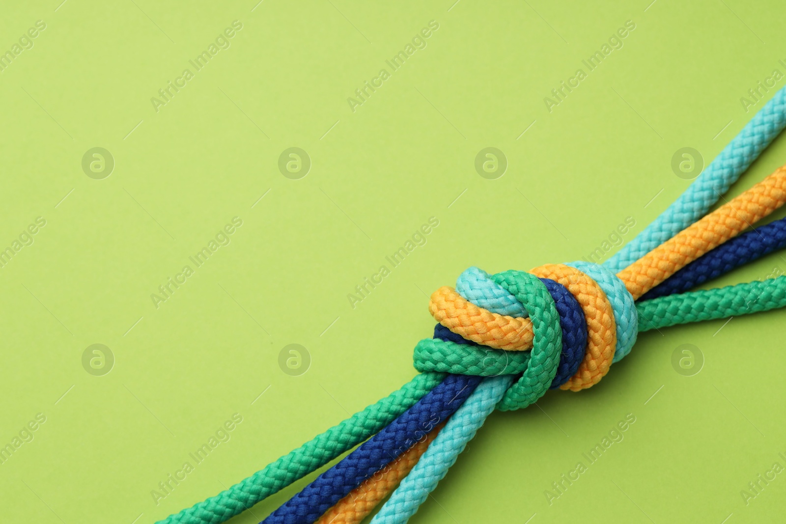 Photo of Colorful ropes tied in knot on light green background, top view with space for text. Unity concept