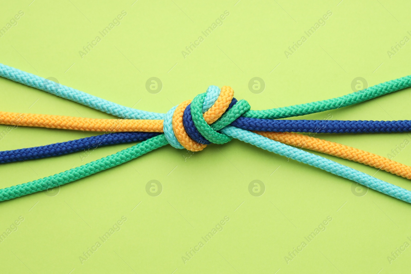 Photo of Colorful ropes tied in knot on light green background, top view. Unity concept