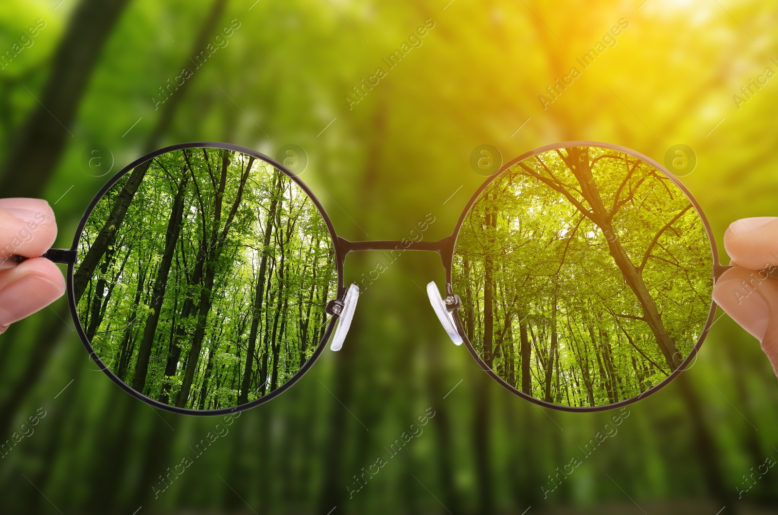 Image of Woman holding glasses against in forest, closeup. View through lenses more clear. Vision correction