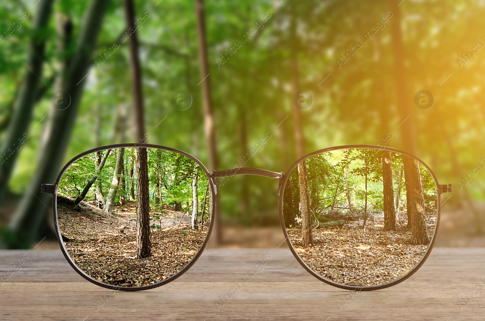 Image of Glasses against beautiful forest. View through lenses more clear. Vision correction