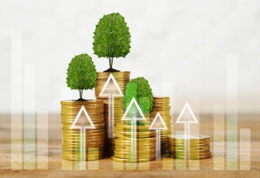 Image of Investment. Stacked coins with small trees on tops and arrows against white background