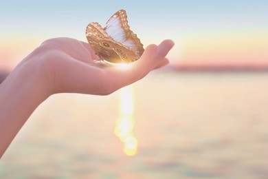 Image of Woman holding butterfly in hand near river at sunset, closeup. Beauty, health, spring, freedom