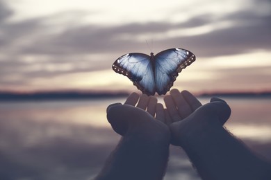 Image of Man and butterfly near river at sunset, closeup. Health, spring, freedom