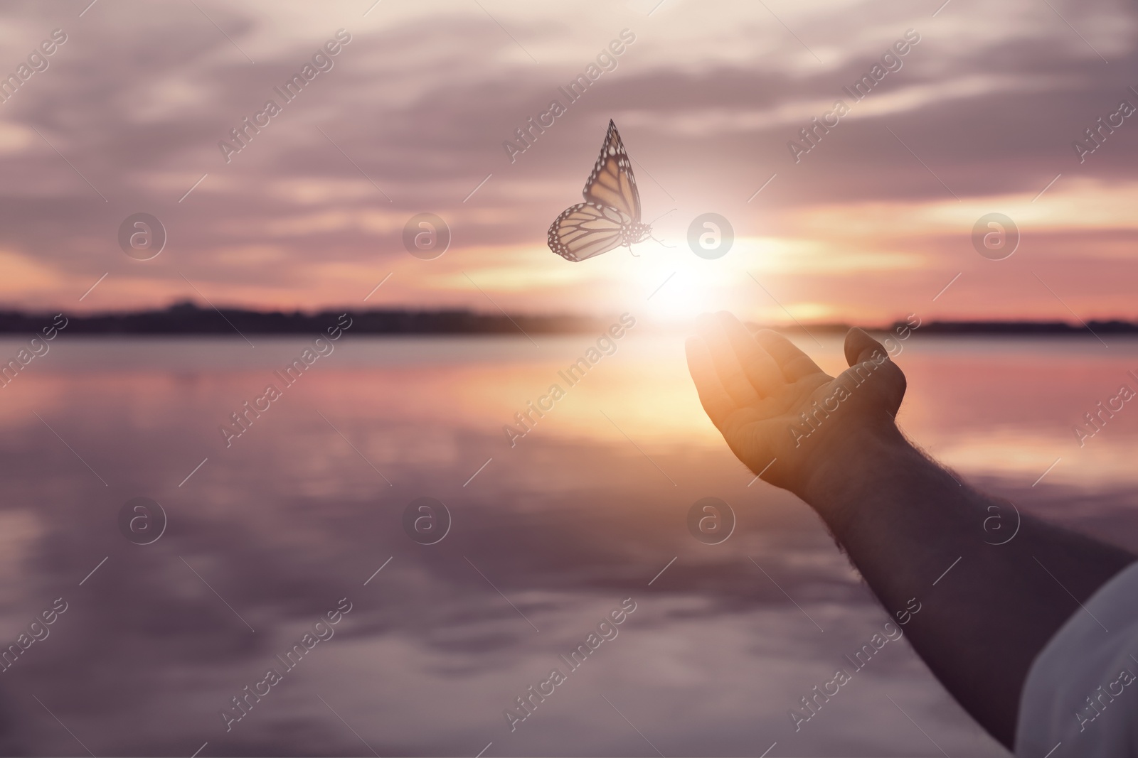 Image of Man and butterfly near river at sunset, closeup. Health, spring, freedom