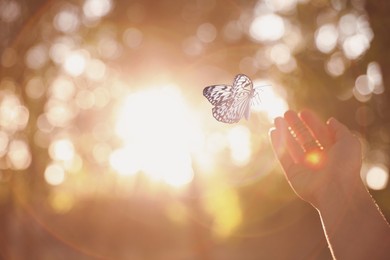 Image of Woman and butterfly in nature at sunset, closeup. Health, spring, freedom, beauty