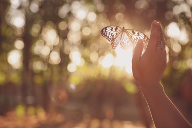 Image of Woman and butterfly in nature at sunset, closeup. Health, spring, freedom, beauty