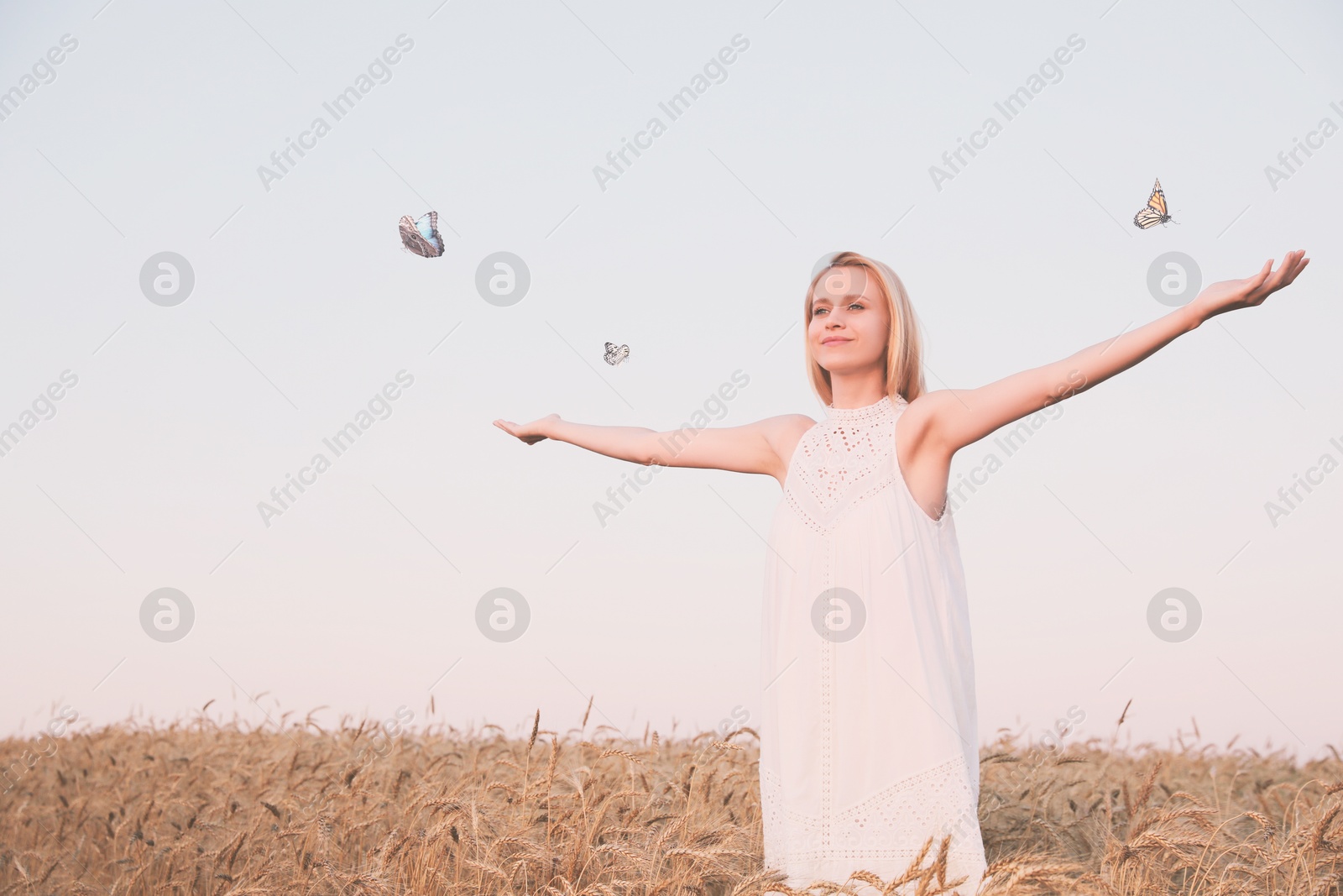 Image of Butterflies flying around happy woman in field at sunrise. Health, spring, freedom, beauty