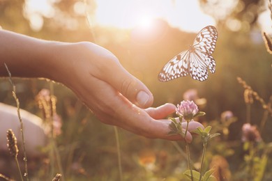 Woman and butterfly in meadow at sunrise, closeup. Health, spring, freedom, beauty