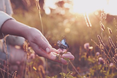 Image of Woman touching flower with butterfly in meadow at sunrise, closeup. Health, spring, freedom, beauty