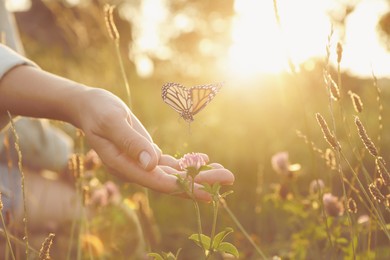 Image of Woman and butterfly in meadow at sunrise, closeup. Health, spring, freedom, beauty