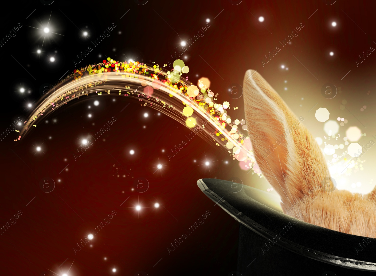 Image of Magic trick. Bunny coming out of magician's hat on dark background