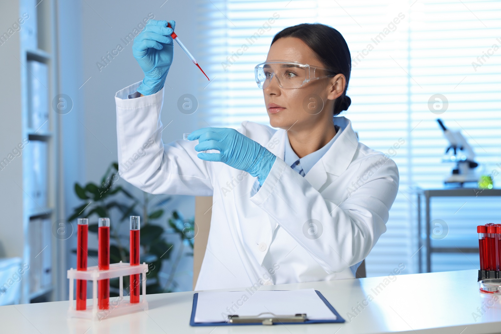 Photo of Laboratory testing. Doctor dripping blood sample into Petri dish indoors