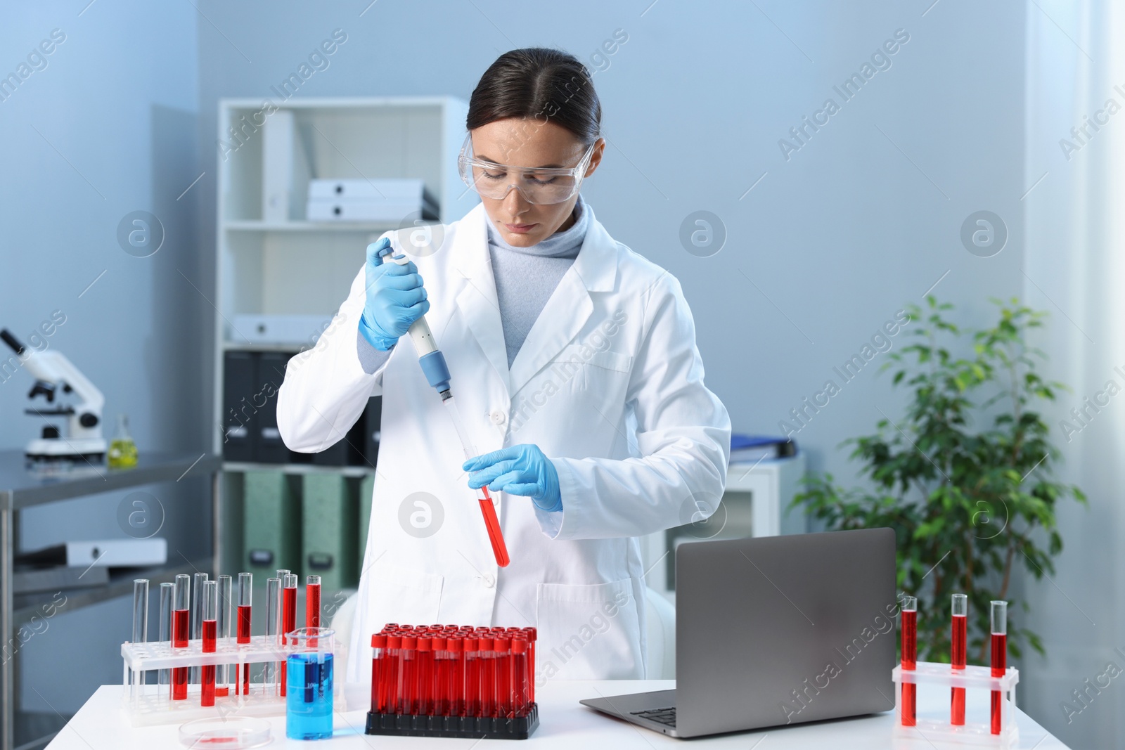 Photo of Laboratory testing. Doctor dripping blood sample into test tube indoors