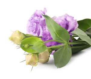 Photo of Beautiful violet eustoma flowers with green leaves isolated on white