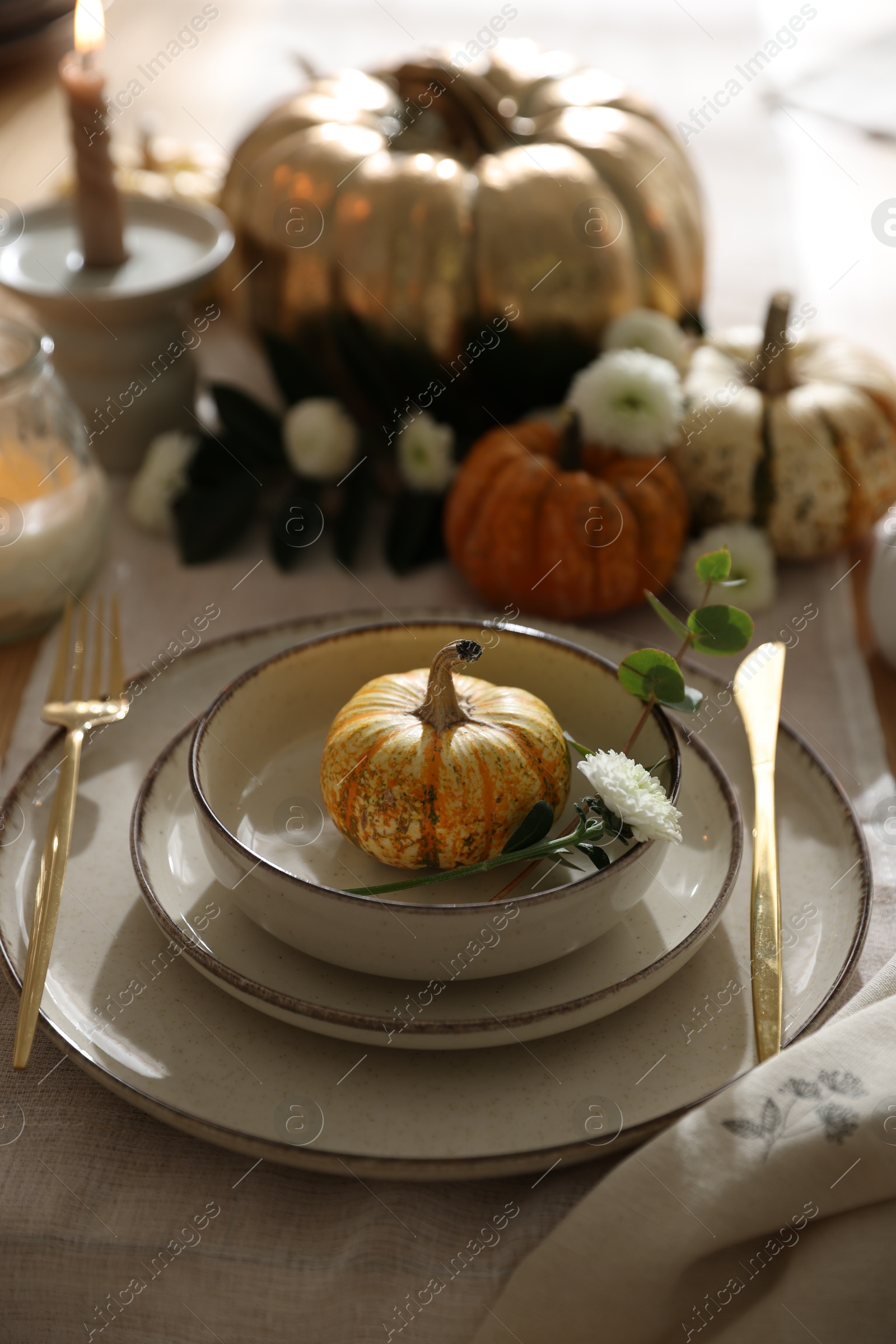 Photo of Stylish table setting with beautiful dishware and autumn decor in dining room