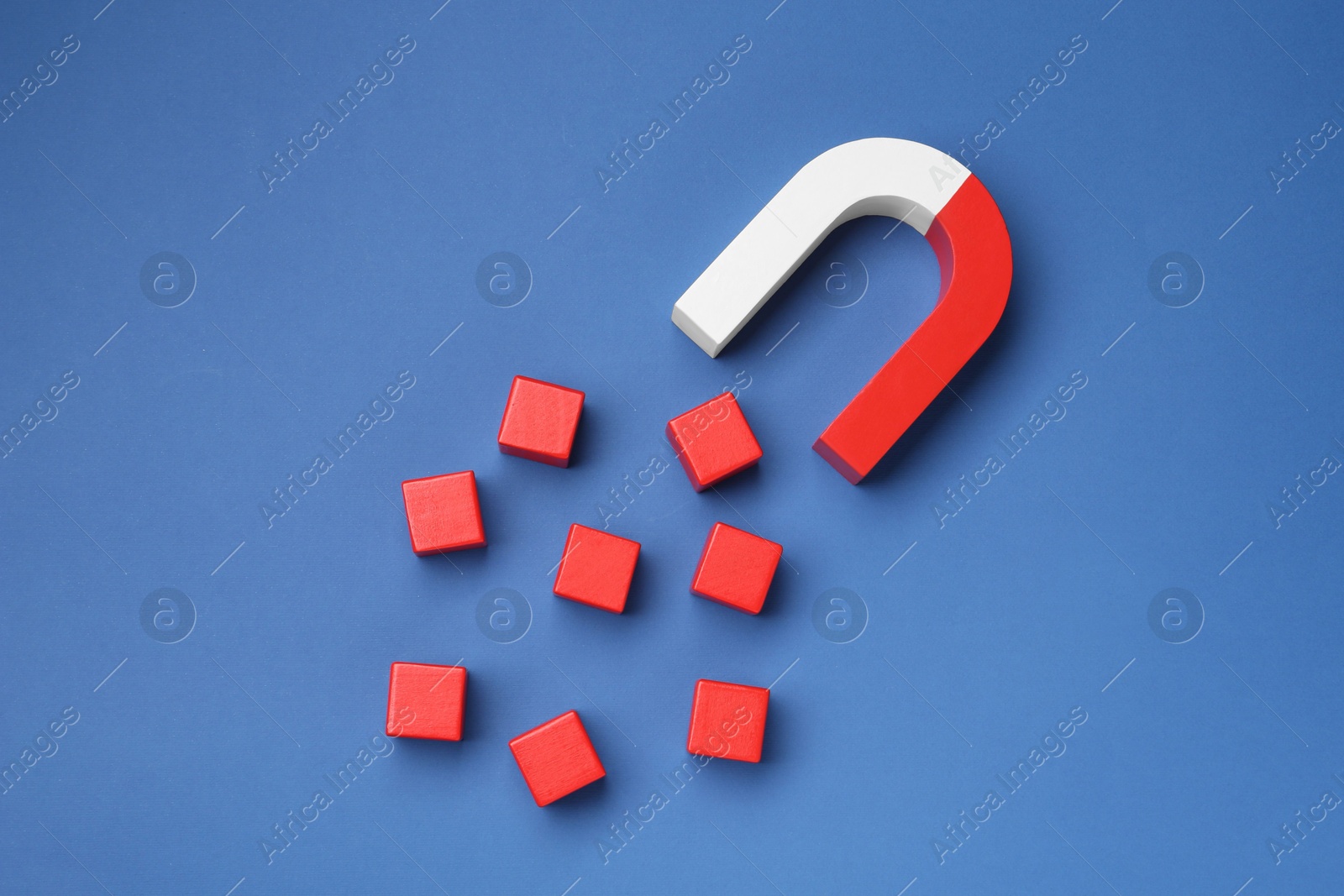 Photo of Magnet attracting red cubes on blue background, flat lay