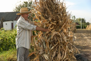 Photo of Senior man in straw hat with pile of hay outdoors