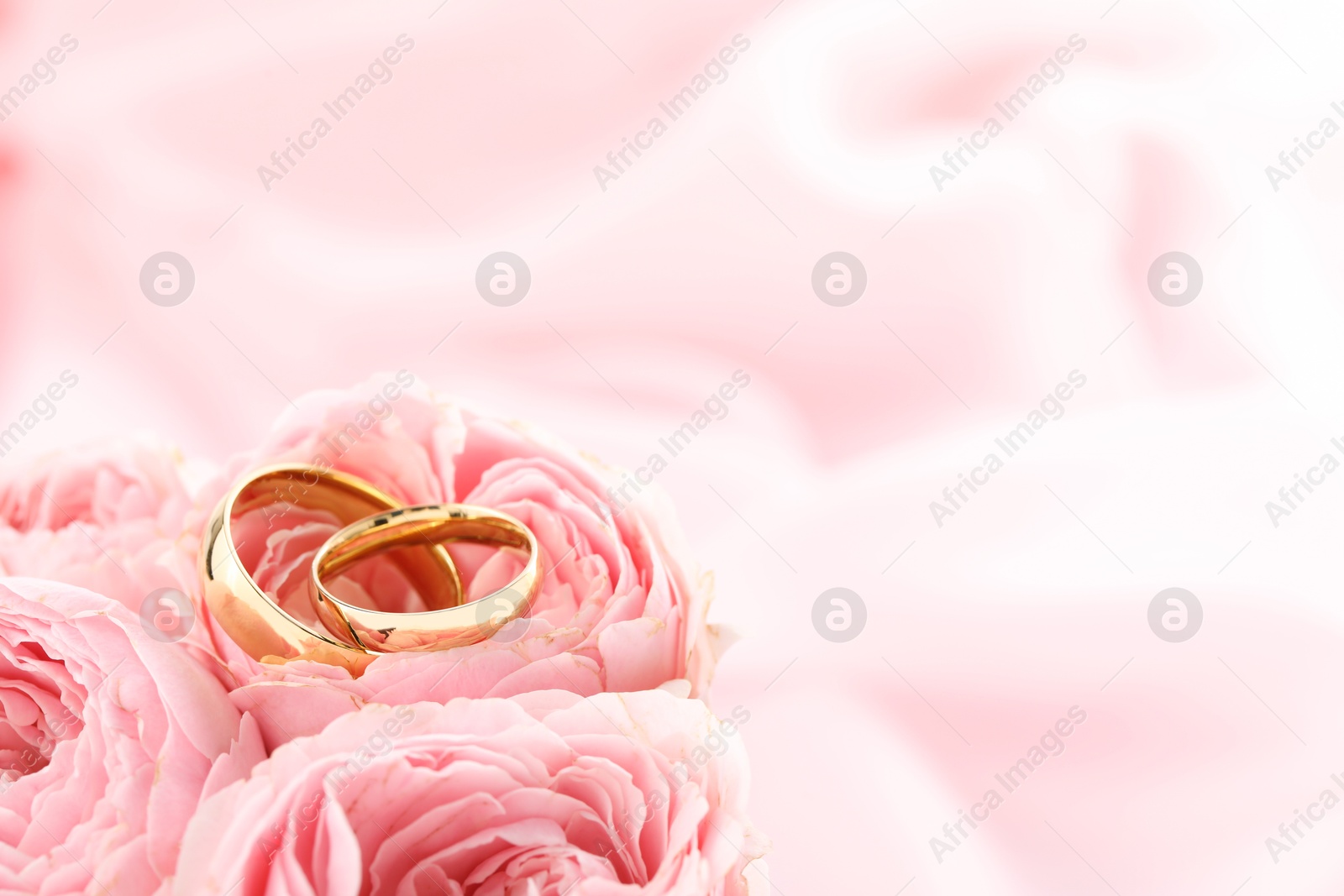 Photo of Golden wedding rings and flowers on blurred background, closeup. Space for text