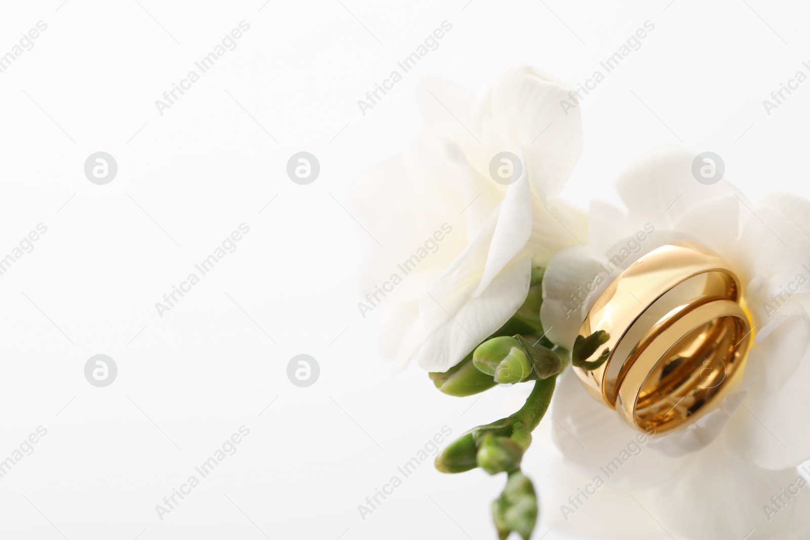 Photo of Golden wedding rings and flowers on white background, closeup. Space for text