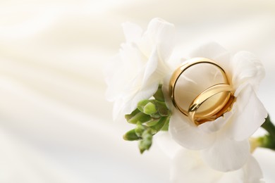 Golden wedding rings and flowers on blurred background, closeup. Space for text