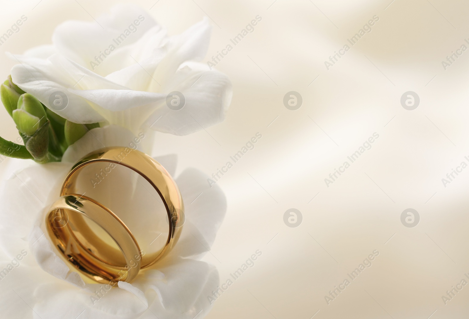 Photo of Golden wedding rings and flowers on blurred background, closeup. Space for text