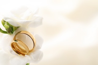 Photo of Golden wedding rings and flowers on blurred background, closeup. Space for text