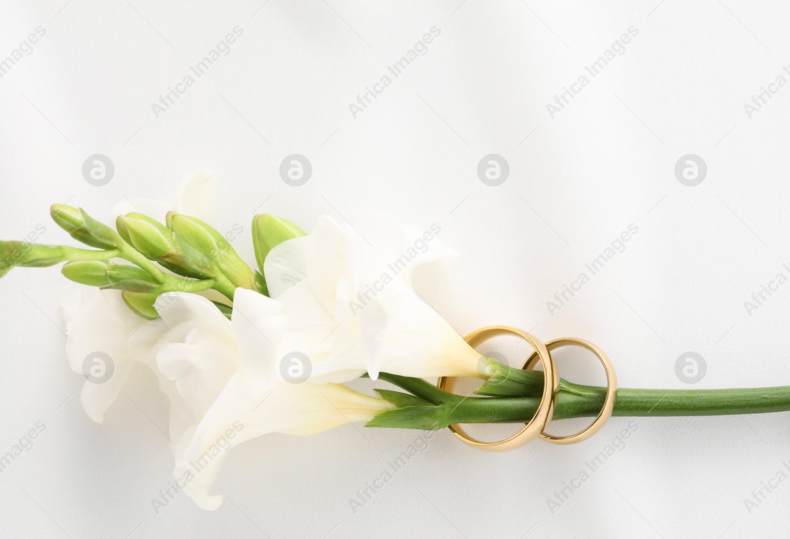 Photo of Golden wedding rings and flowers on white background, top view