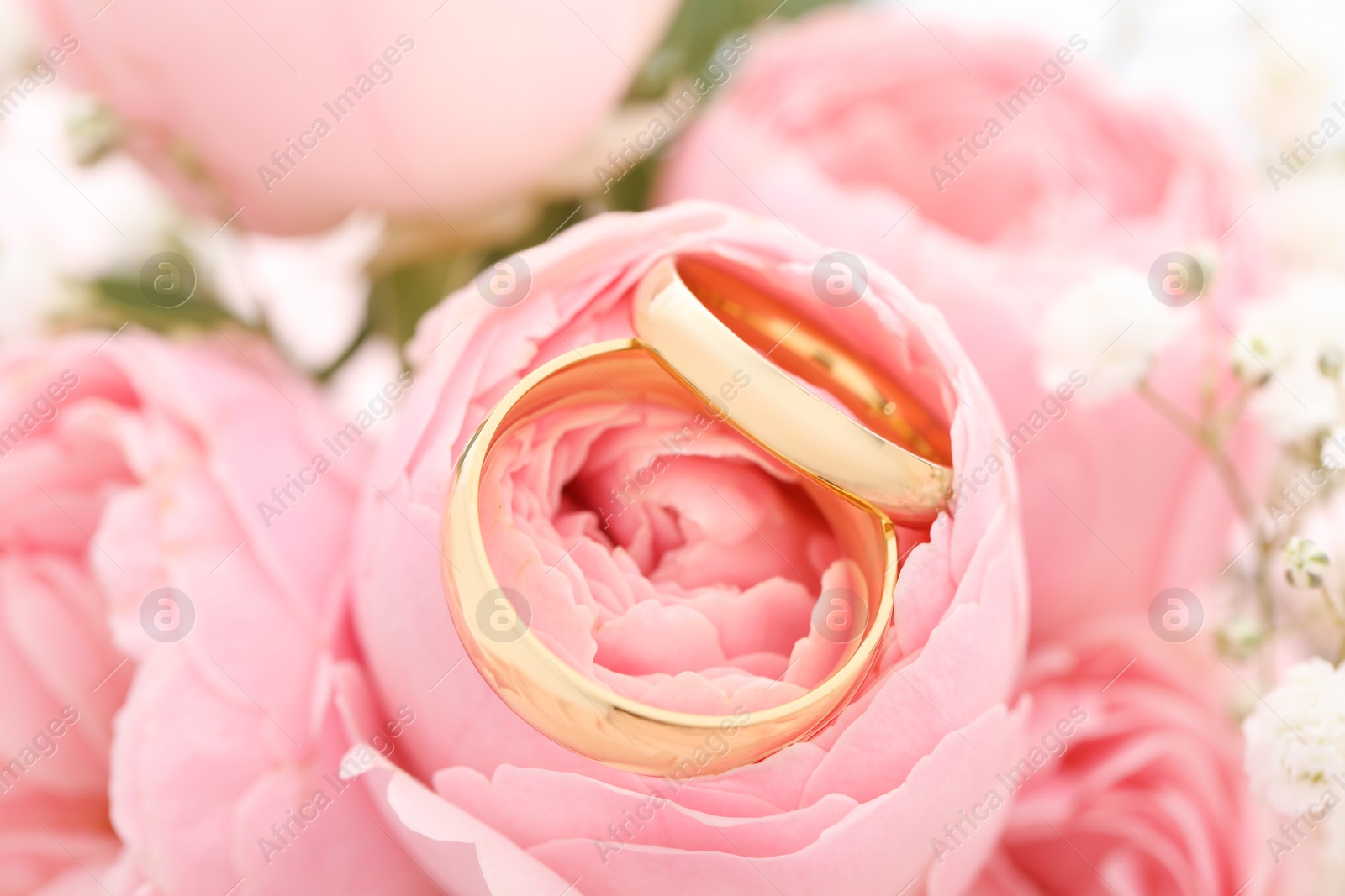 Photo of Golden wedding rings and flowers on blurred background, closeup