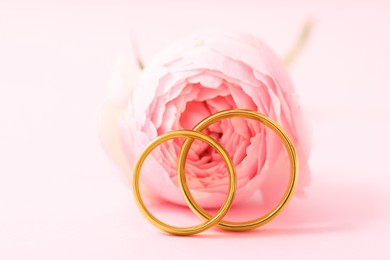 Photo of Golden wedding rings and flower on pink background, closeup