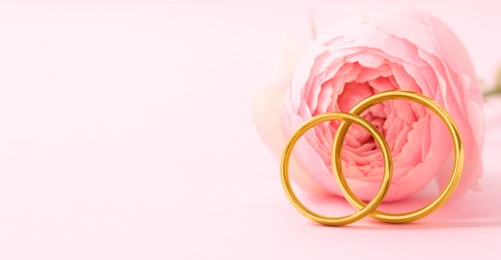 Photo of Golden wedding rings and flower on pink background, closeup. Space for text