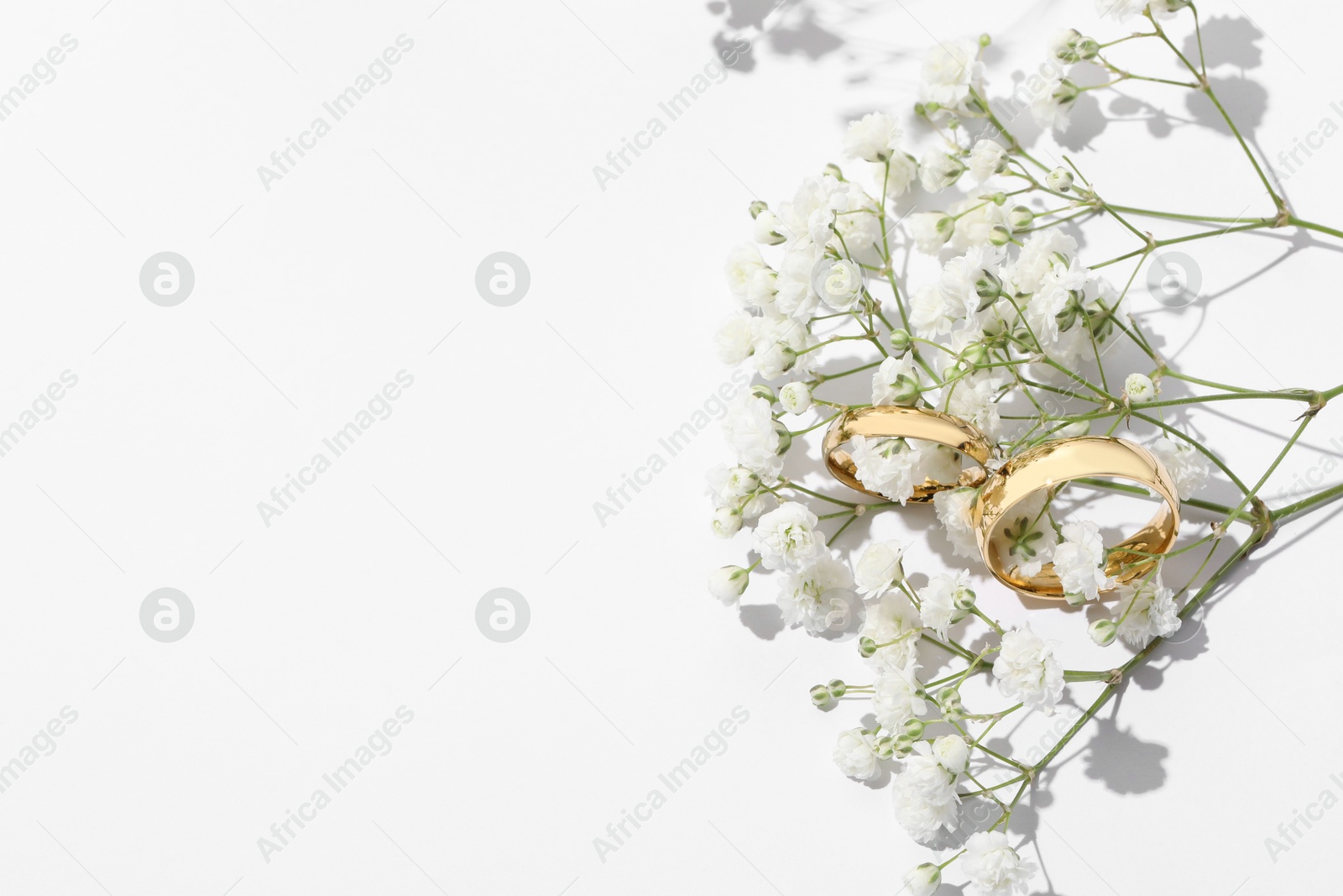 Photo of Golden wedding rings and flowers on white background, above view. Space for text