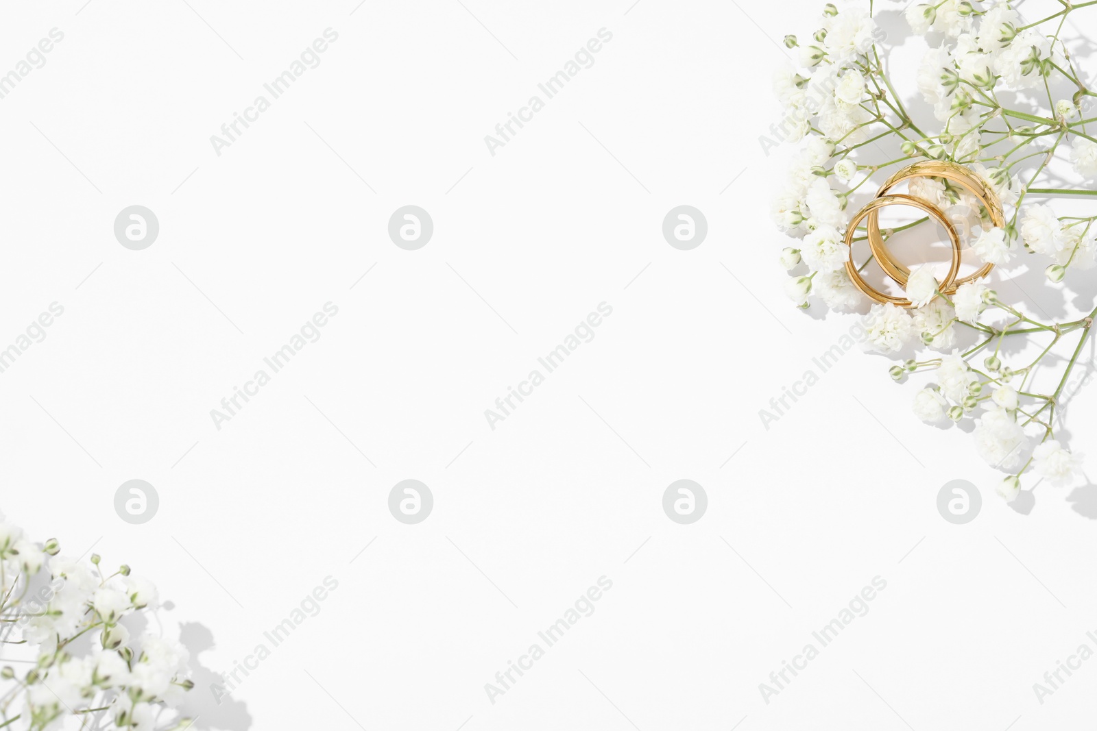 Photo of Golden wedding rings and flowers on white background, top view. Space for text