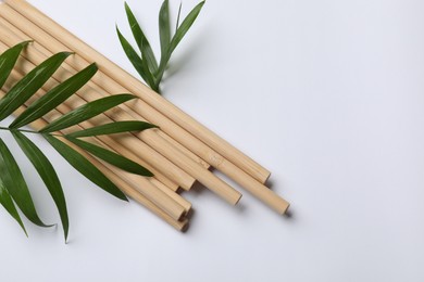 Photo of Bamboo drinking straws and palm leaves on white background, top view. Space for text