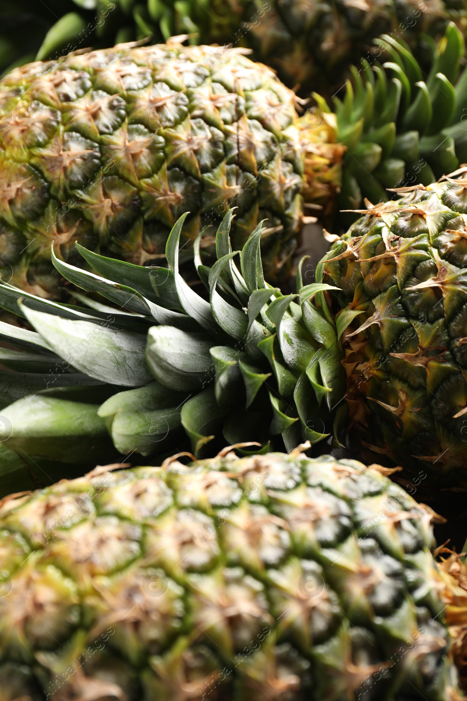 Photo of Fresh ripe pineapples as background, closeup view