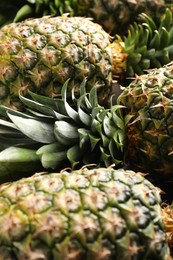 Fresh ripe pineapples as background, closeup view