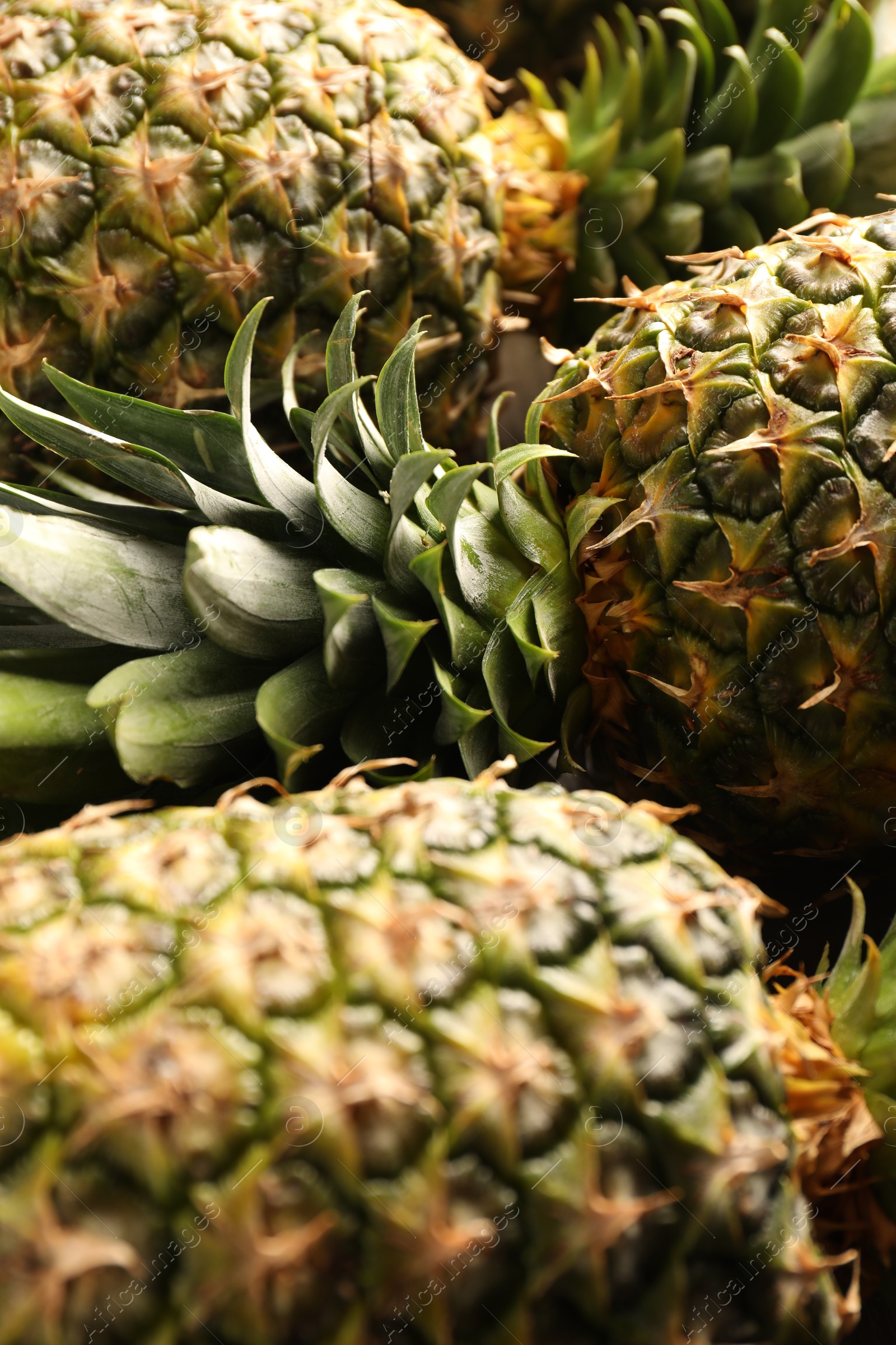 Photo of Fresh ripe pineapples as background, closeup view