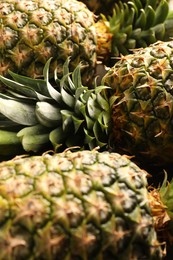 Photo of Fresh ripe pineapples as background, closeup view