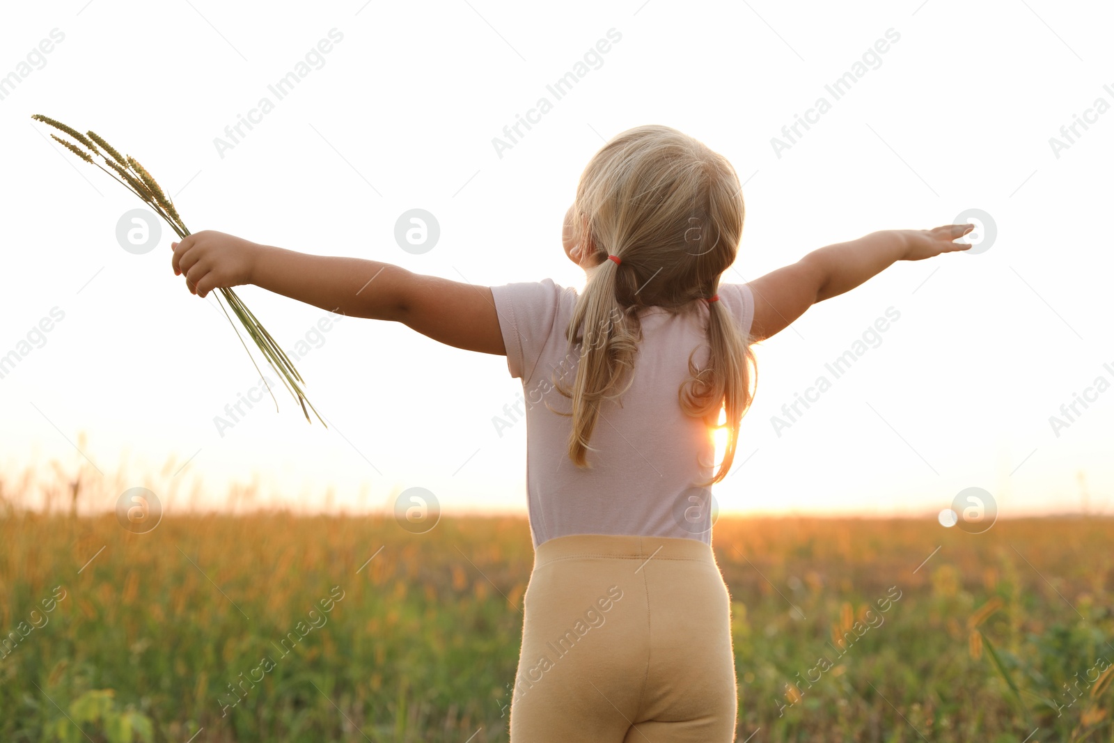 Photo of Cute little girl with plants at meadow, back view. Child enjoying beautiful nature