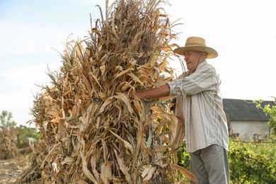 Photo of Senior man in straw hat with pile of hay outdoors