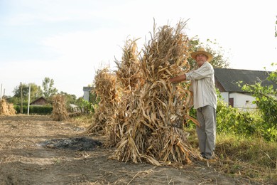 Photo of Senior man in straw hat with pile of hay outdoors