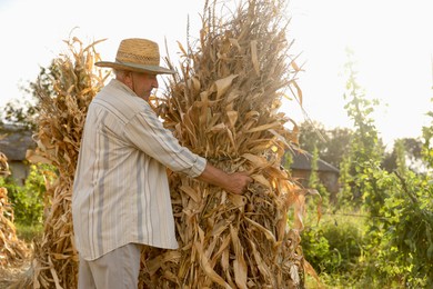 Photo of Senior man in straw hat with pile of hay outdoors