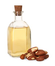 Photo of Tasty Brazil nuts and bottle with oil isolated on white