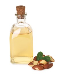 Photo of Tasty Brazil nuts and bottle with oil isolated on white