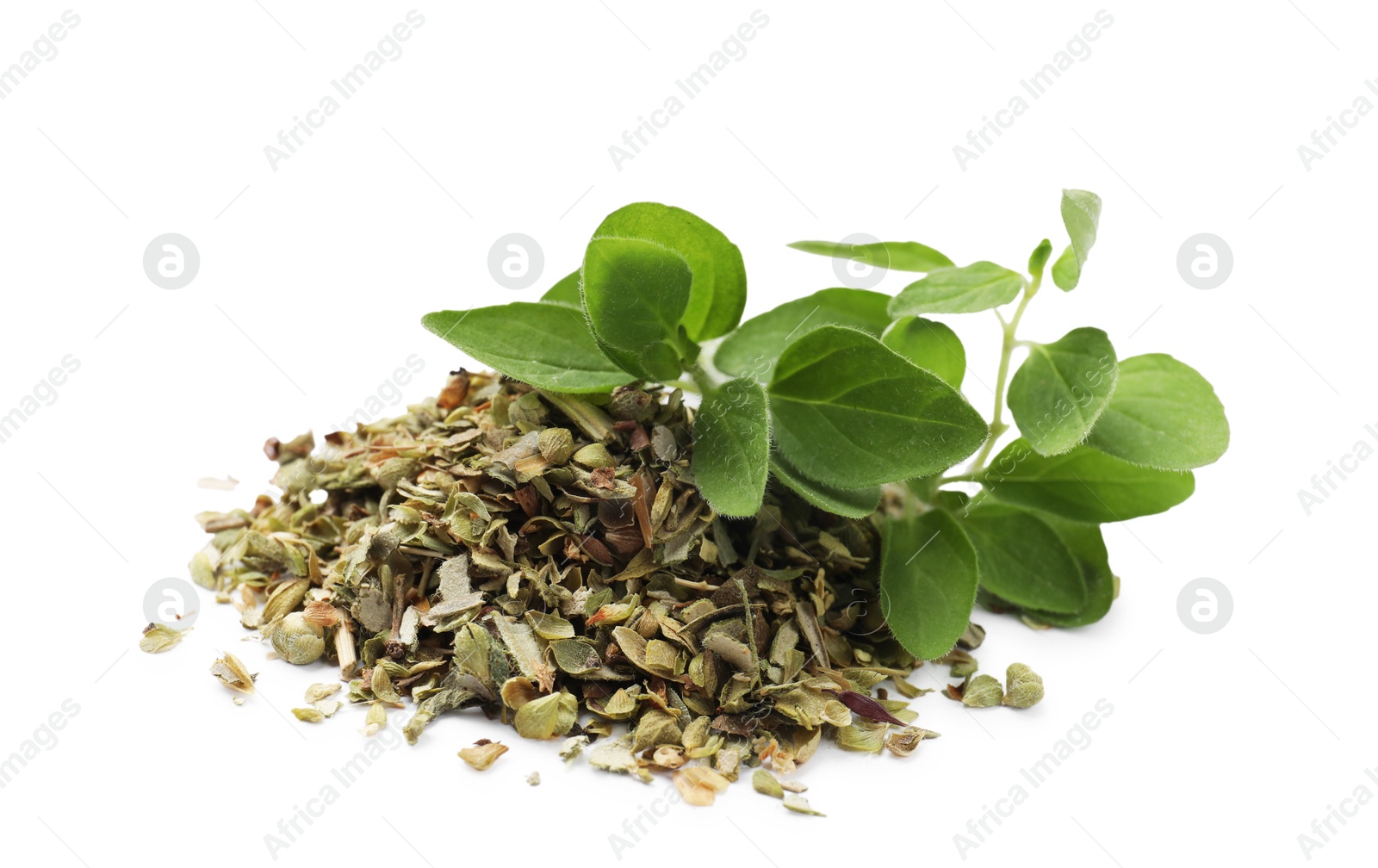 Photo of Dried oregano and green leaves isolated on white