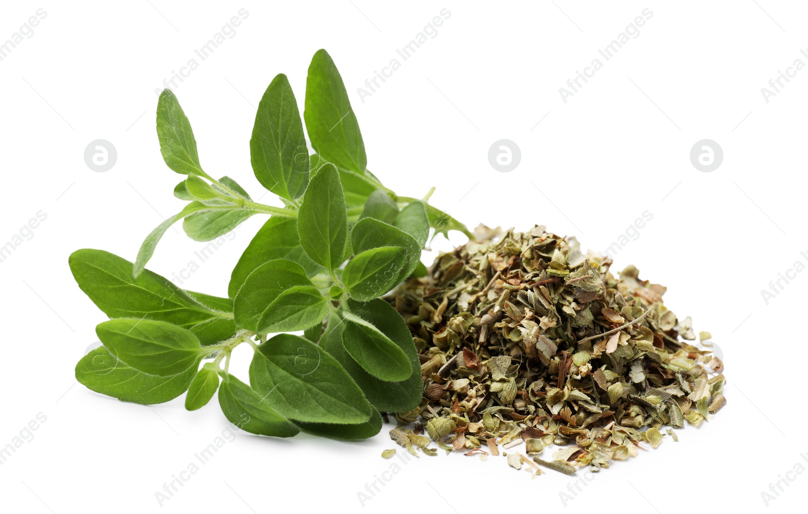 Photo of Dried oregano and green leaves isolated on white